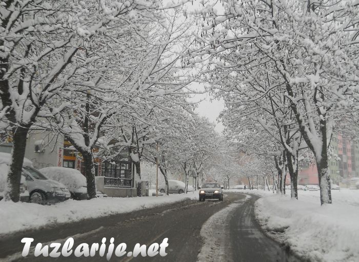 Tuzlarije