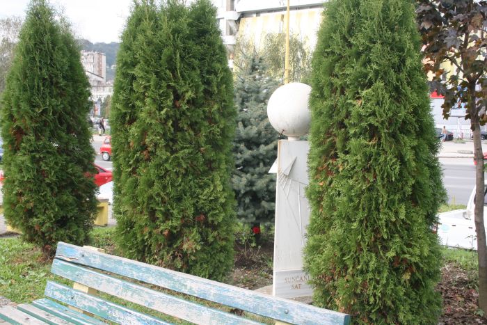 Tuzlarije