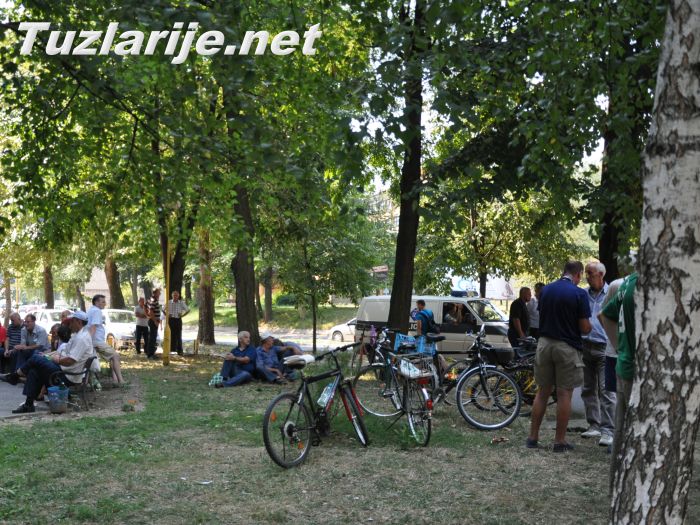 Tuzlarije