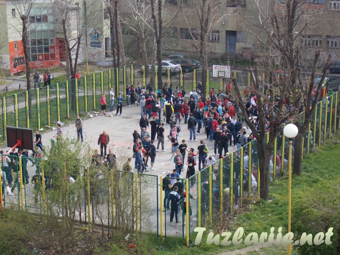 Tuzlarije
