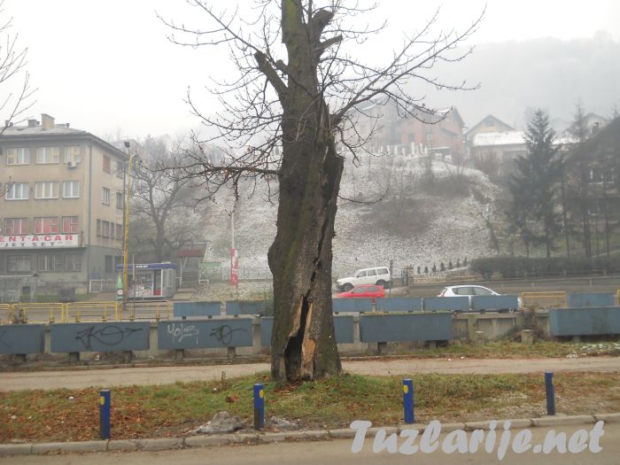 Tuzlarije