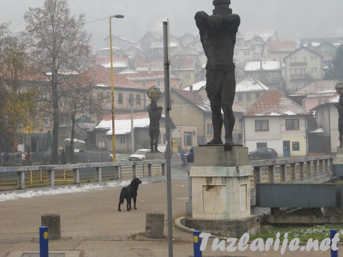 Tuzlarije