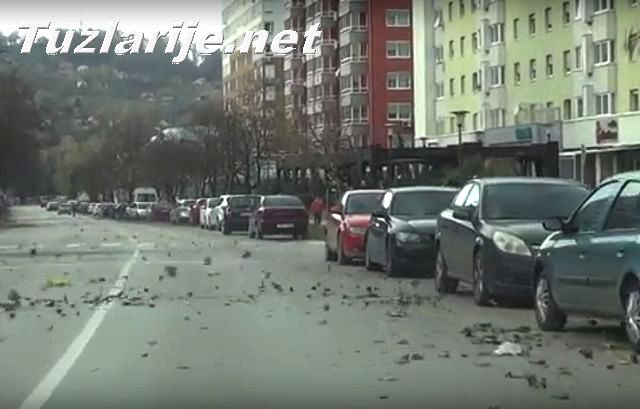 Tuzlarije