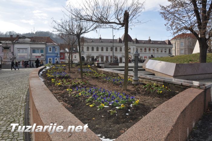 Tuzlarije
