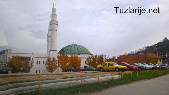 Tuzlarije