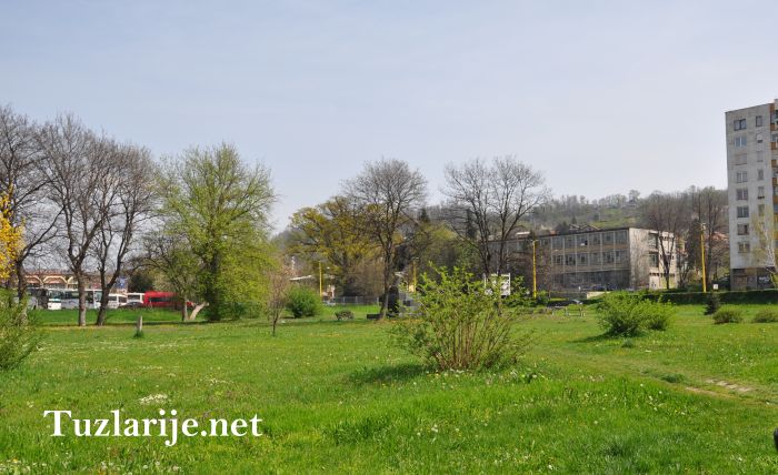 Tuzlarije