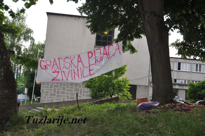 Tuzlarije