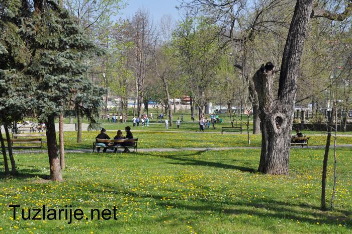 Tuzlarije