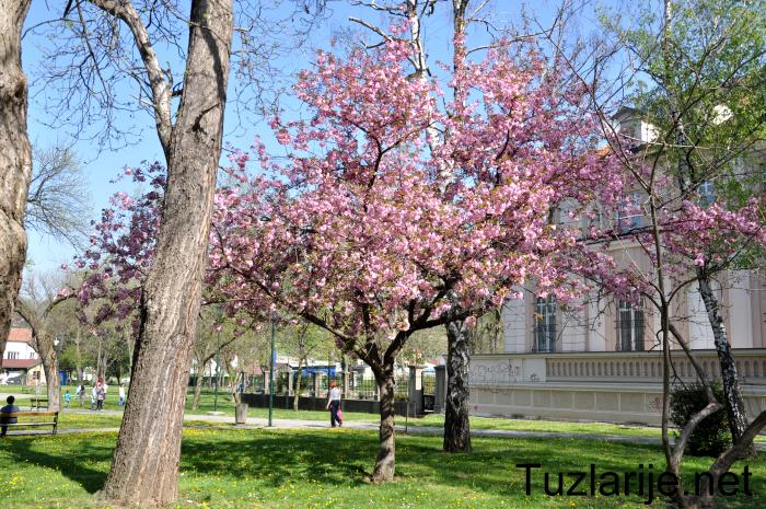 Tuzlarije