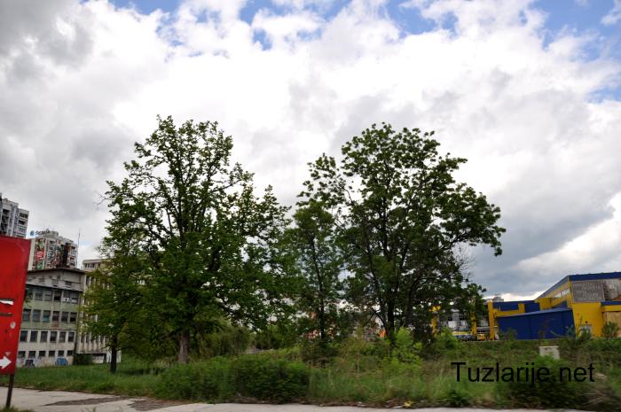 Tuzlarije