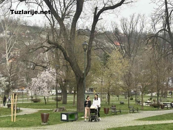 Tuzlarije