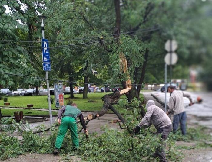 Tuzlarije