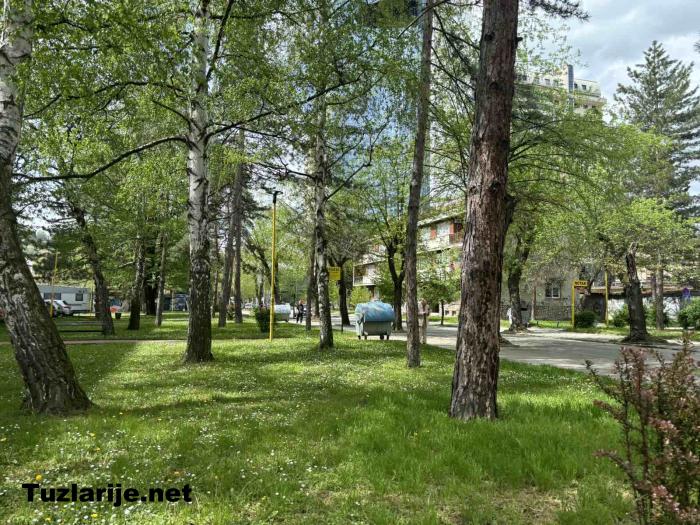 Tuzlarije