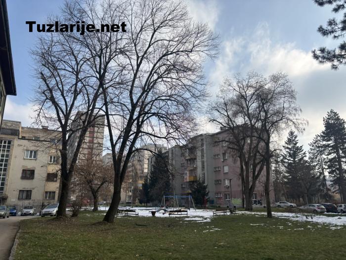Tuzlarije