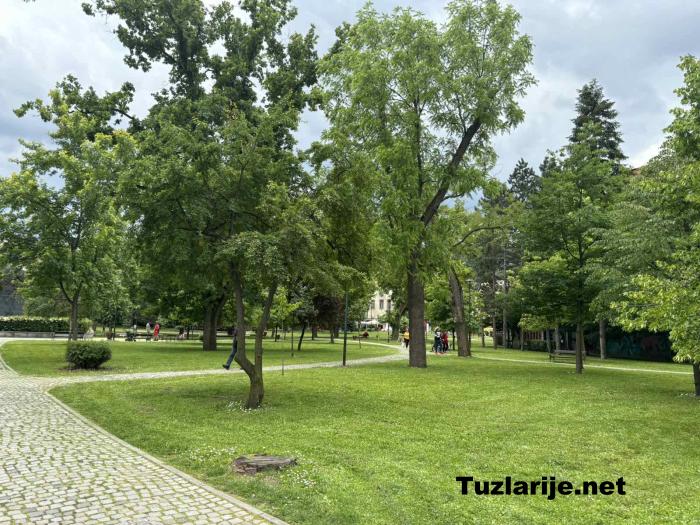 Tuzlarije