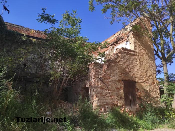 Tuzlarije
