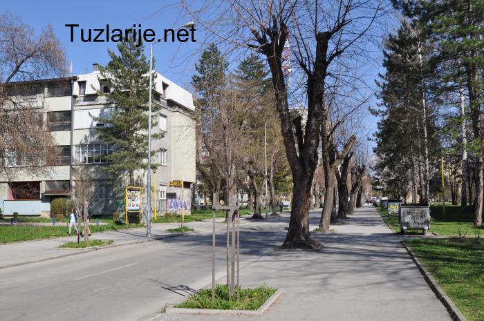 Tuzlarije