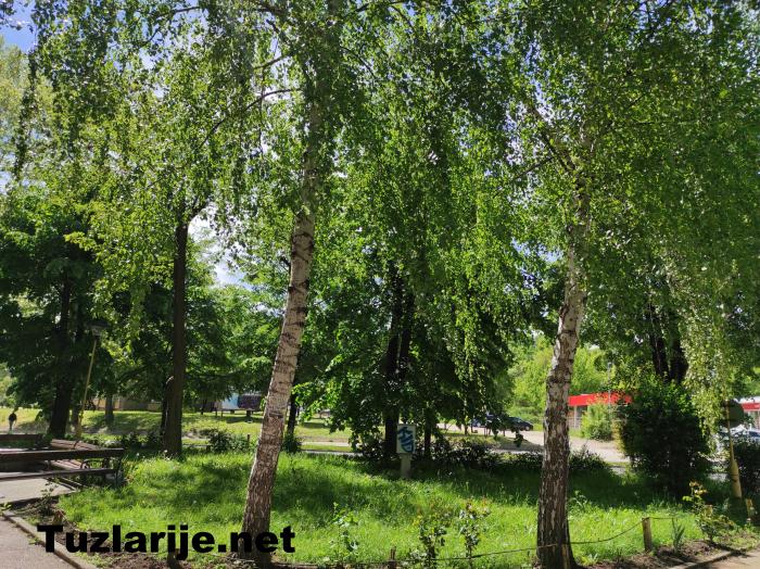 Tuzlarije