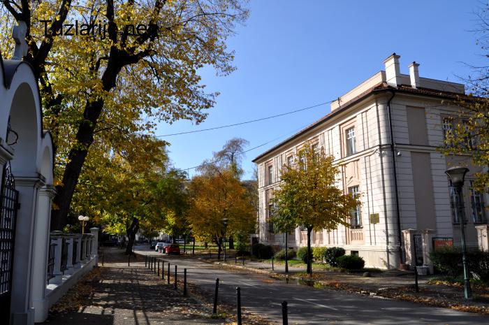 Tuzlarije