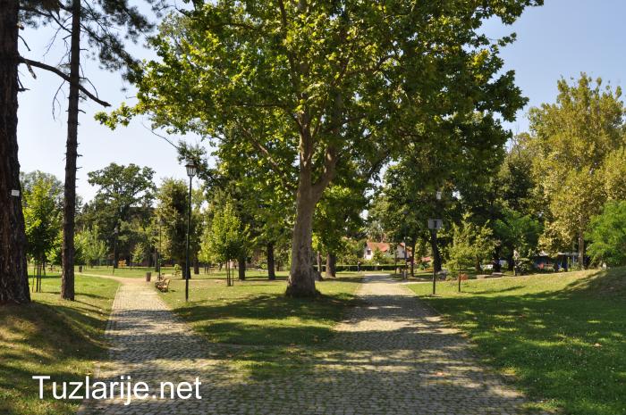 Tuzlarije