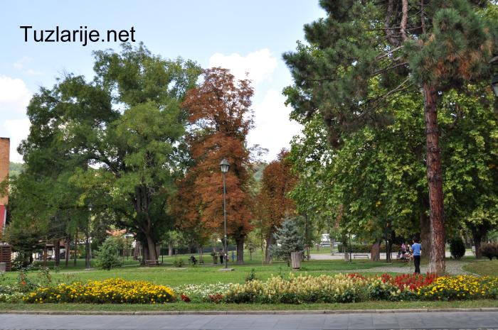Tuzlarije