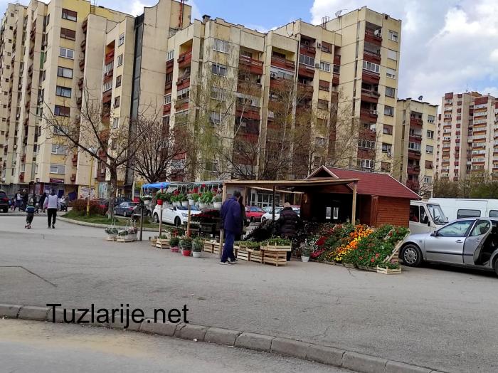 Tuzlarije