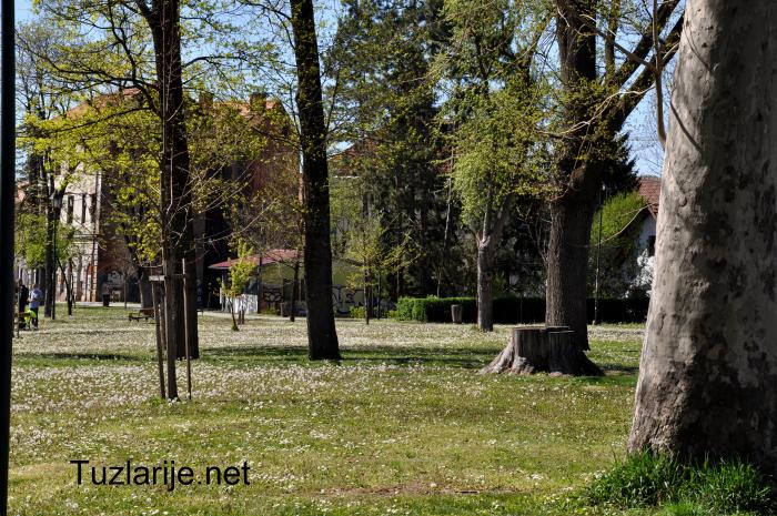 Tuzlarije