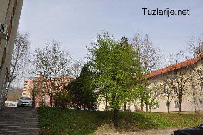 Tuzlarije