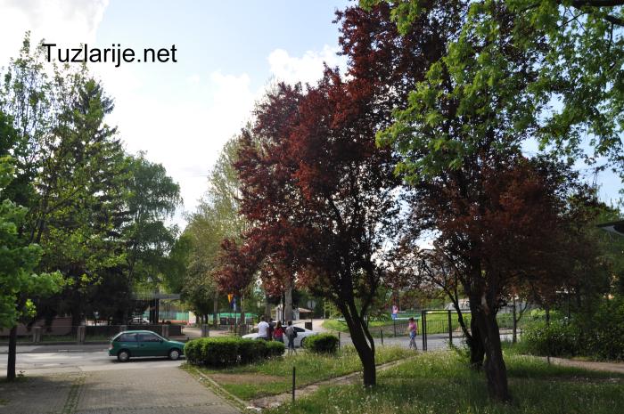 Tuzlarije