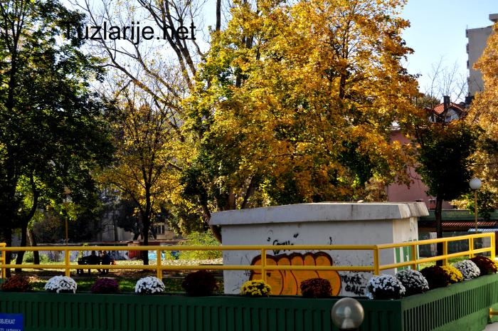 Tuzlarije