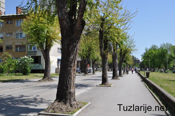 Tuzlarije