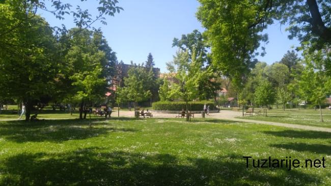 Tuzlarije