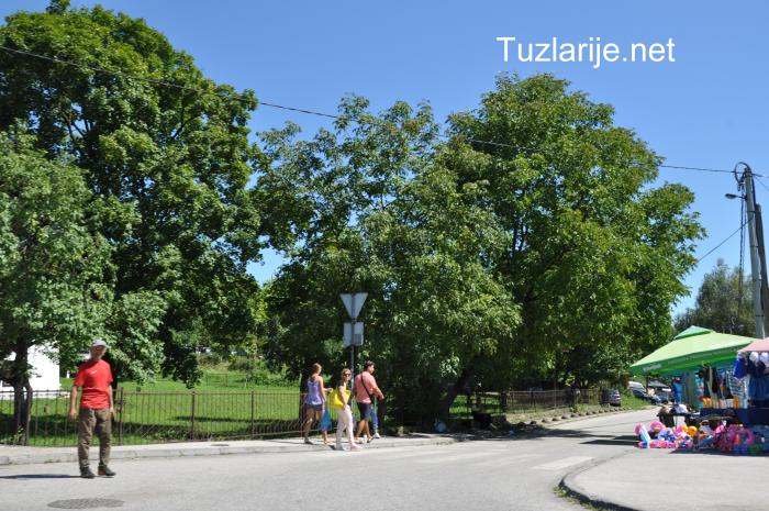 Tuzlarije