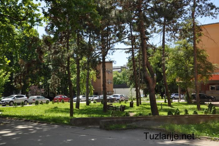 Tuzlarije