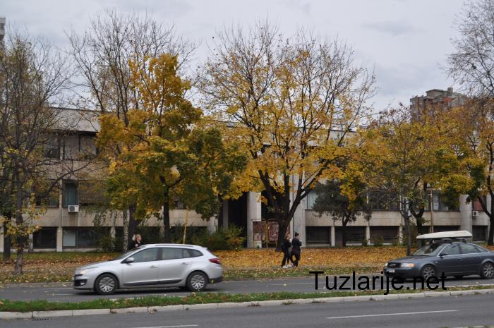 Tuzlarije