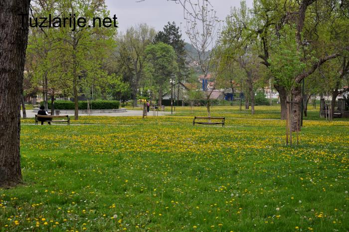 Tuzlarije