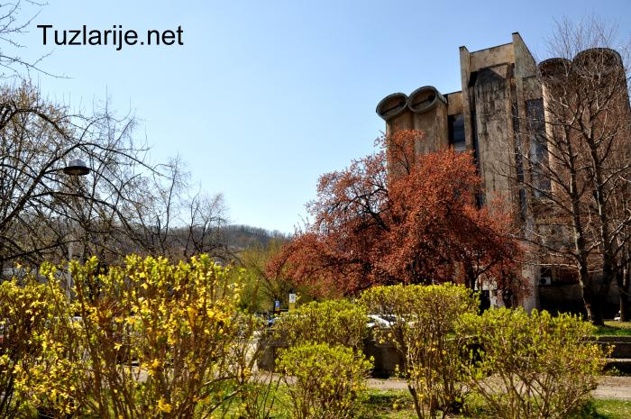 Tuzlarije
