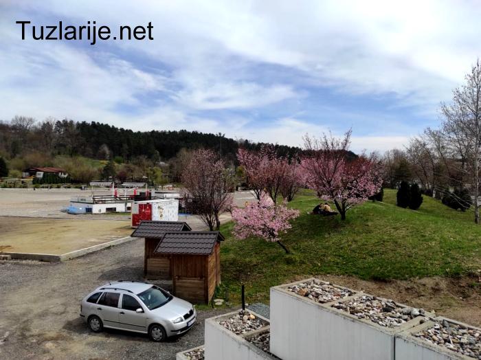Tuzlarije