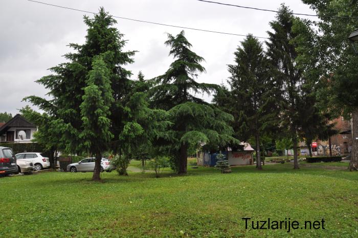 Tuzlarije
