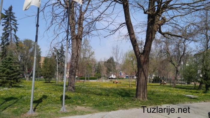 Tuzlarije