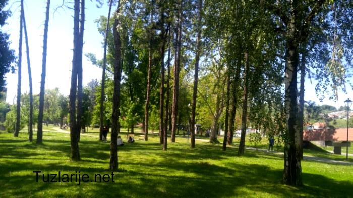 Tuzlarije