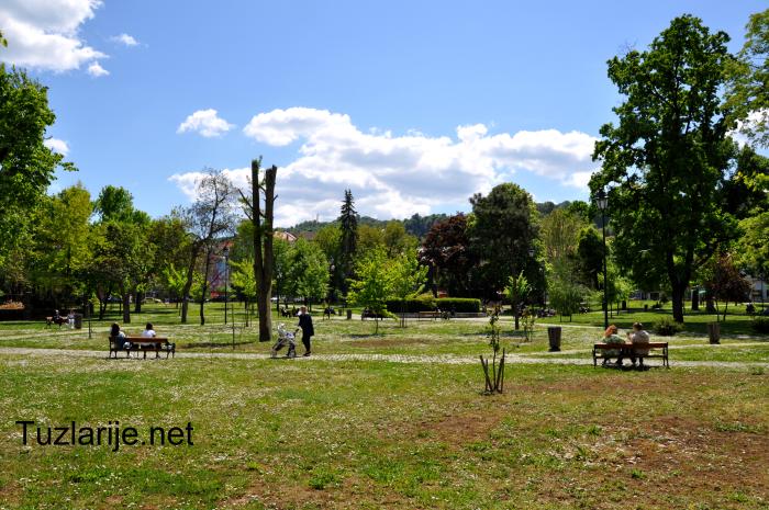 Tuzlarije