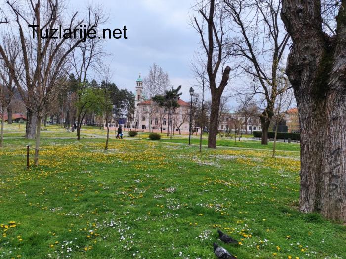 Tuzlarije