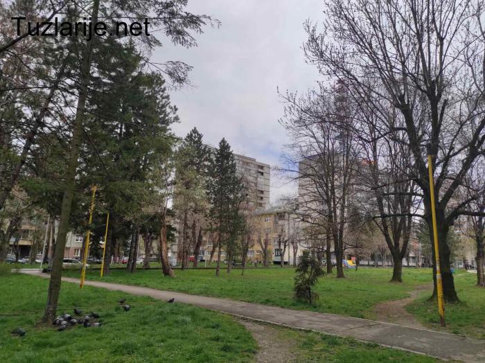 Tuzlarije