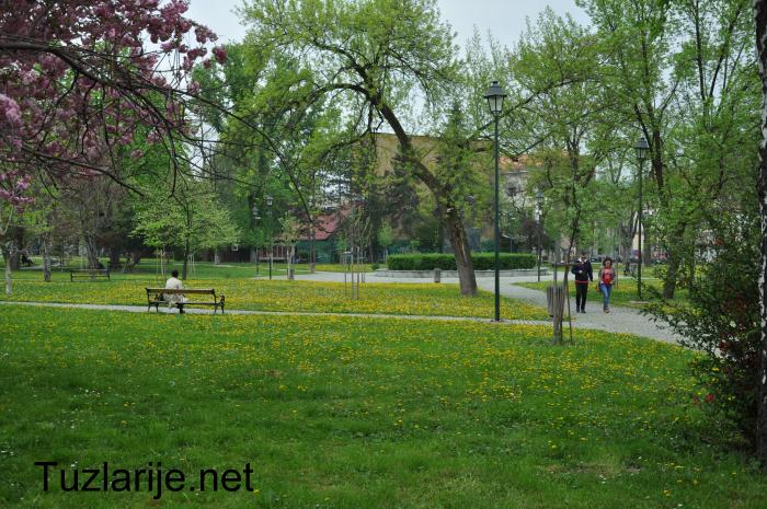 Tuzlarije