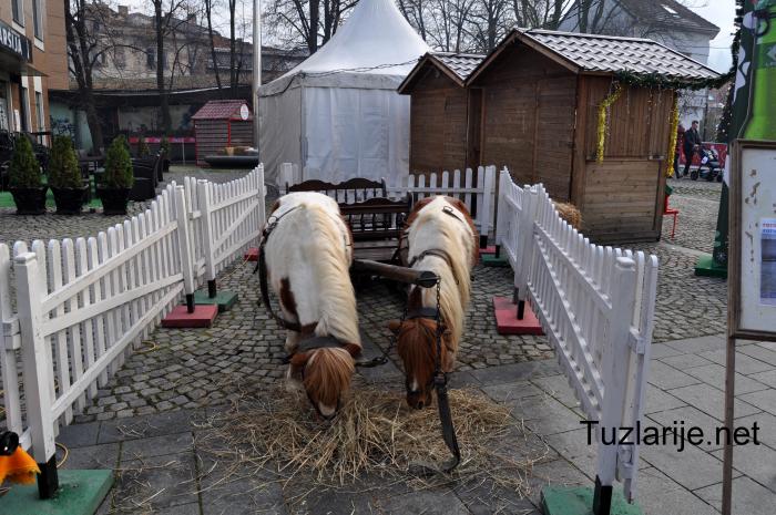 Tuzlarije