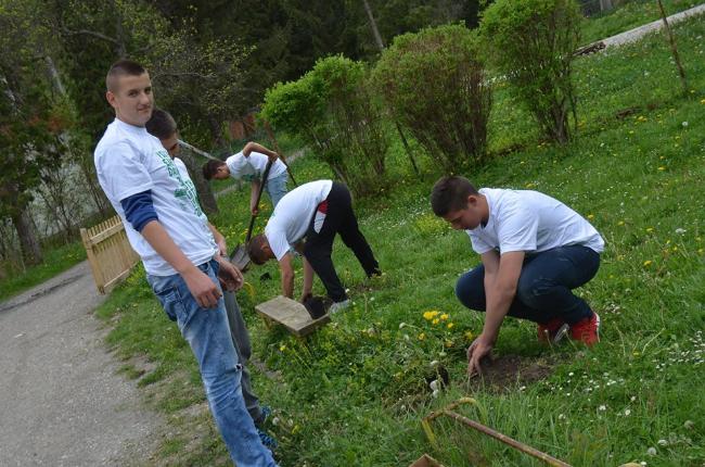 Tuzlarije