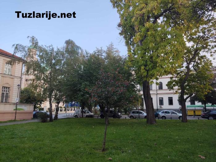 Tuzlarije