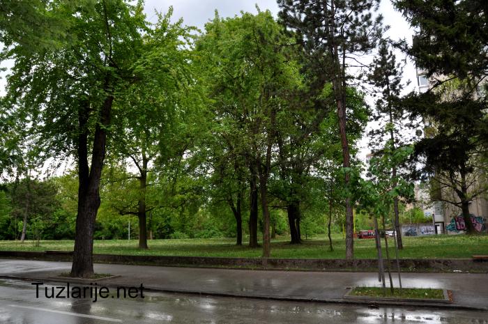 Tuzlarije