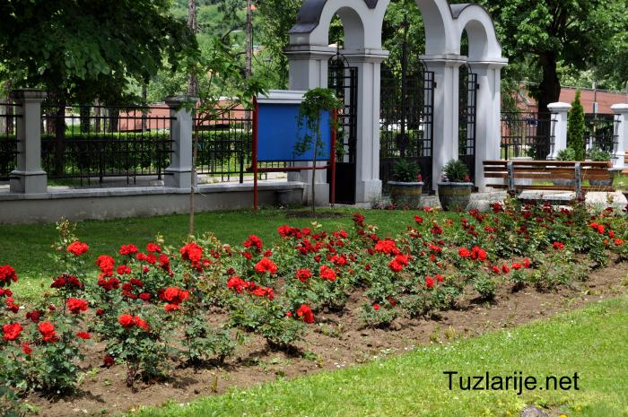 Tuzlarije